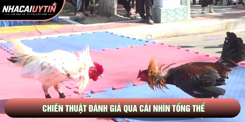 Chiến thuật đánh giá qua cái nhìn tổng thể Chiến thuật đánh giá qua cái nhìn tổng thể