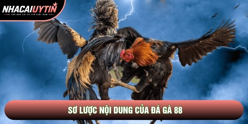 Sơ lược nội dung của Đá gà 88 Sơ lược nội dung của Đá gà 88